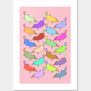 Cute and Girly Cartoon Platypus Pattern Posters and Art